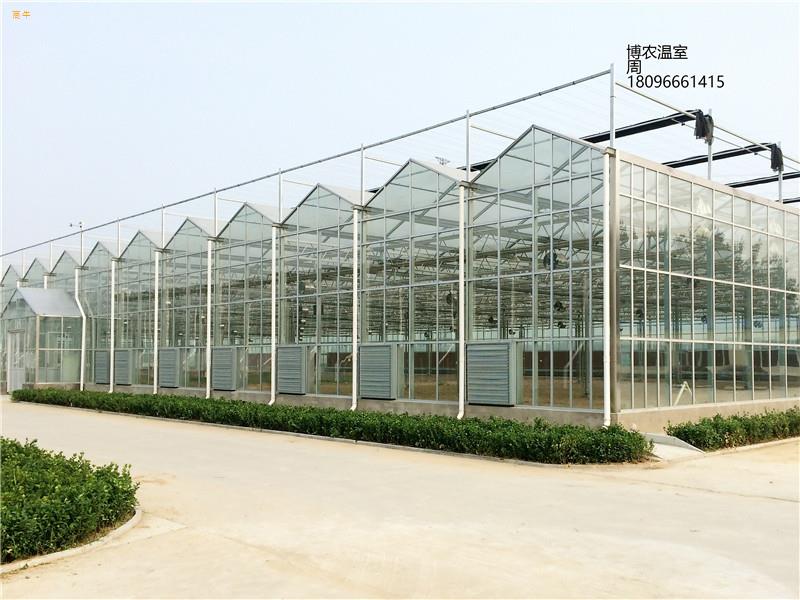 安徽合肥智能温室玻璃大棚价格300元一平方厂家直供