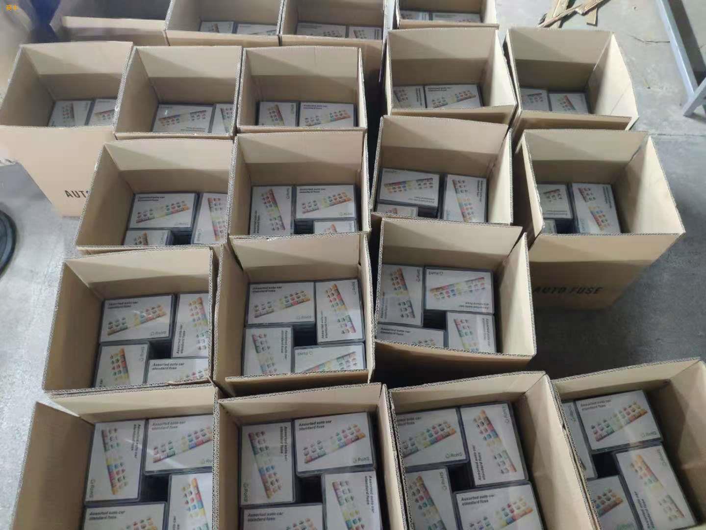 供应跨境电商货源盒装汽车保险丝片Auocarfuses300PCS