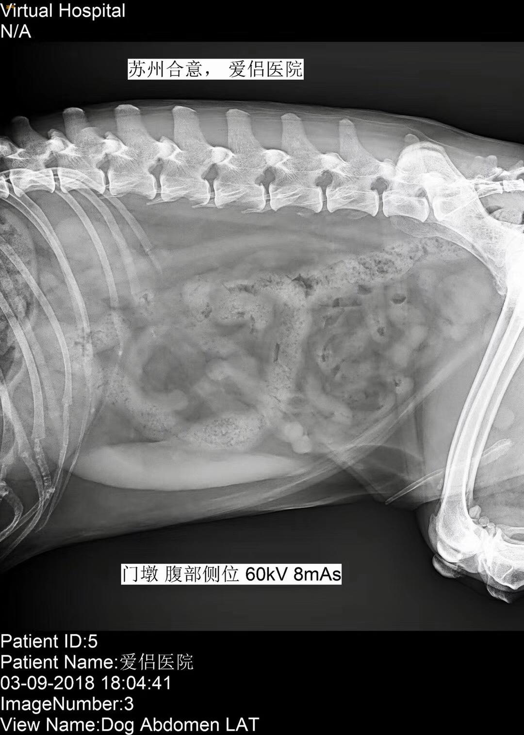 数字化宠物X射线机配套床板