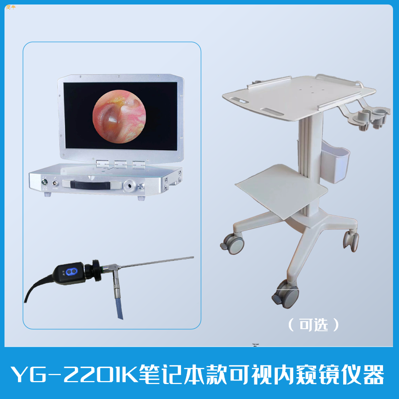 笔记本款耳鼻喉内窥镜摄像系统YG2201K