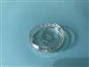 上海增友生物Y35010无菌激光共聚焦玻璃底细胞培养皿10mm显微镜共聚焦小皿35mm