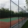 厂家供应体育场防护隔离网球场围栏订制浸塑低碳钢丝勾花护栏网