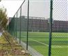 学校足球护栏围网体育场隔离网公园篮球场蔚蓝网浸塑护栏勾花