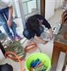 上海徐汇区家庭自来水管清洗