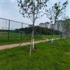 渭南市勾花围网球场隔离网足球场防护网