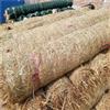 供应边坡复绿秸秆草毯植物纤维毯高速公路边坡绿化实地货源