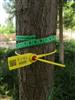 园林号树标签扣