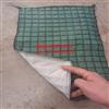 抗冲生物毯生态毯水保植生毯河道治理防护