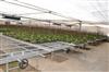 温室移动苗床温室大棚花卉栽培丝网移动苗床温室种植